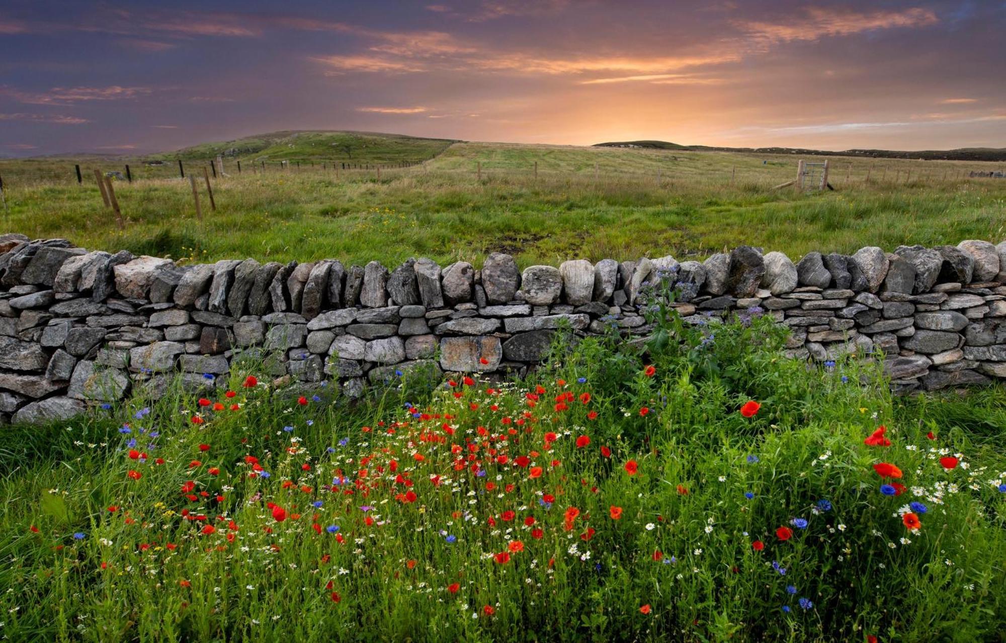 21 Callanish Luxury Pod Екстер'єр фото
